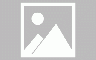 白鹿工作室出手！否认学历造假、程序违规申报三级演员等相关信息